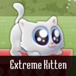 Extreme Kitten