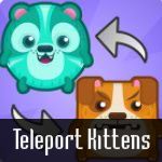 Teleporting Kittens